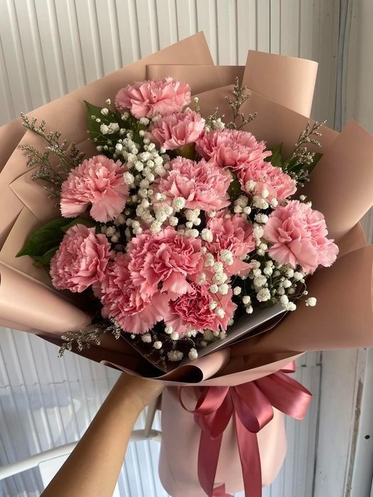 Blush Pink Carnation Bouquet